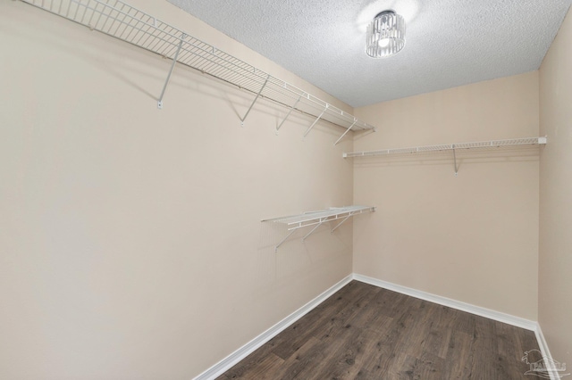 spacious closet with dark wood-type flooring