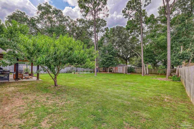 5613 Cane Syrup Cir, Pace, FL 32571 - view of yard featuring a patio area