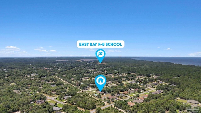 6742 Britt St, Navarre, FL 32566 - aerial view of a forest