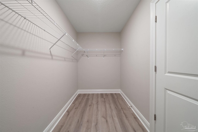 spacious closet featuring light hardwood / wood-style flooring