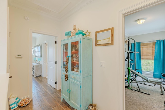 corridor with ornamental molding, dark wood-type flooring, and plenty of natural light
