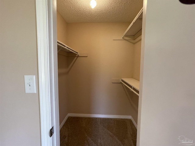 walk in closet with carpet flooring