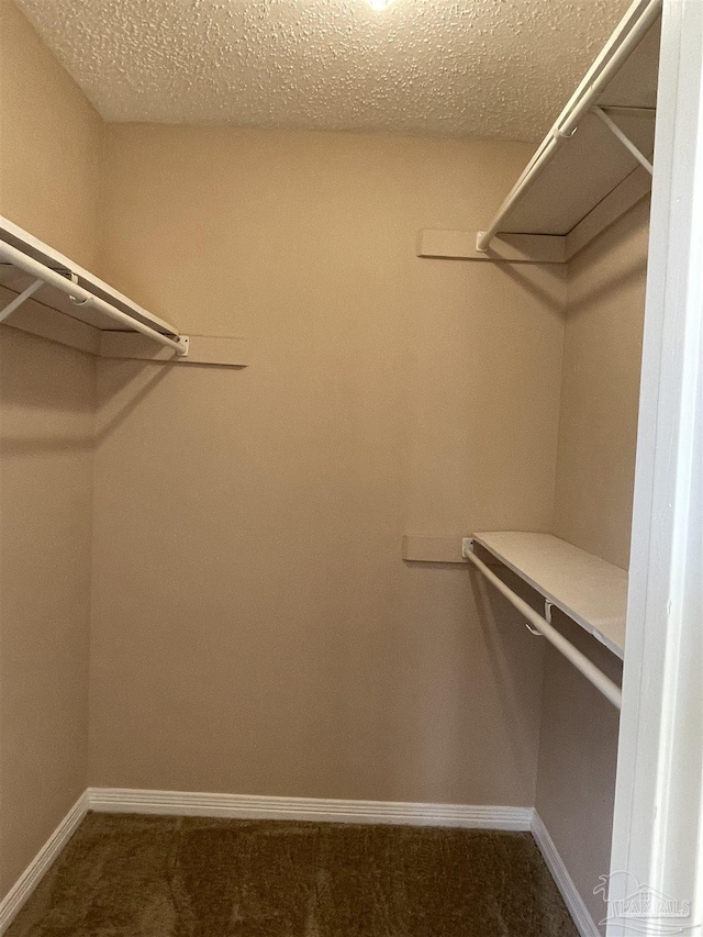 spacious closet with dark colored carpet