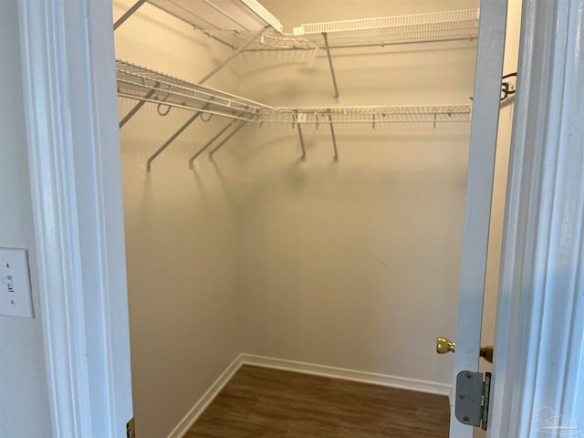 walk in closet featuring dark hardwood / wood-style flooring