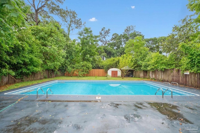 view of swimming pool featuring a storage shed