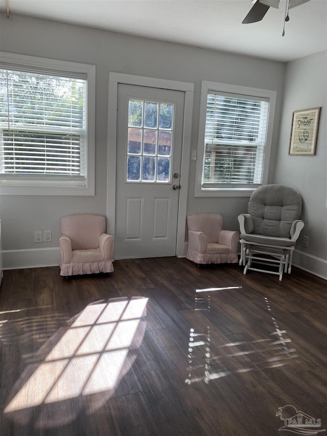 doorway with dark hardwood / wood-style flooring and ceiling fan