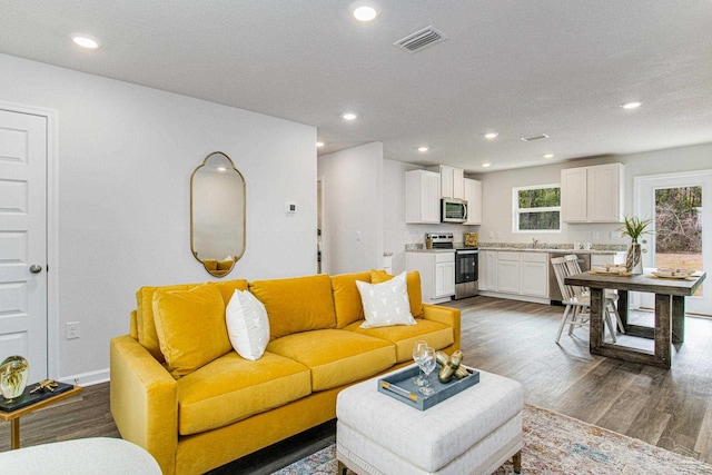 living room with dark hardwood / wood-style flooring and sink