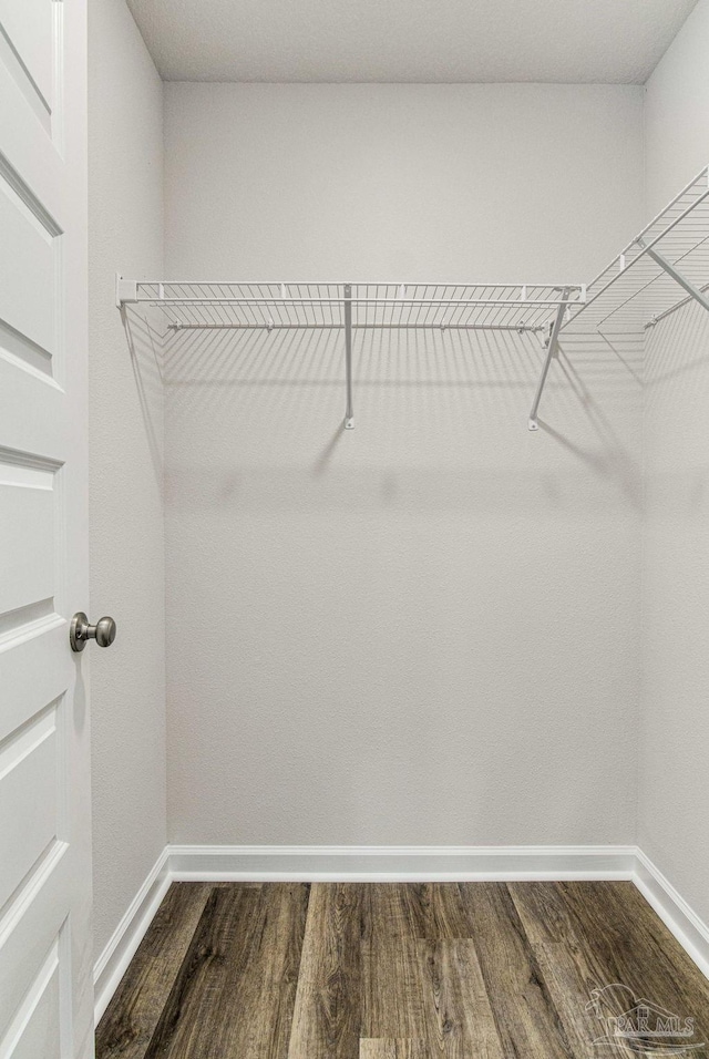 spacious closet with wood-type flooring