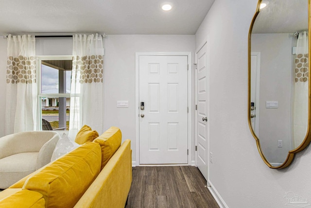 foyer with dark hardwood / wood-style floors