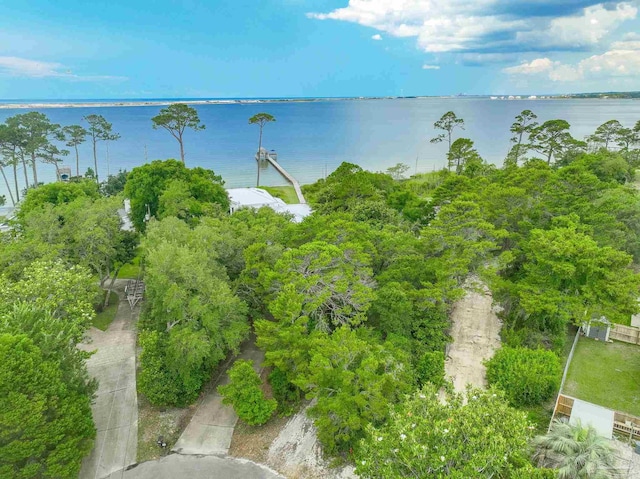 458 Parish Blvd, Mary Esther, FL 32569 - water view