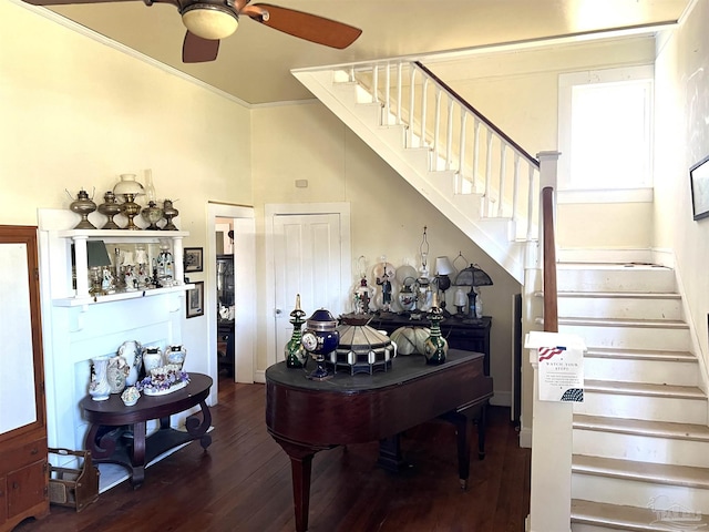 interior space featuring hardwood / wood-style flooring, crown molding, and ceiling fan