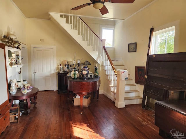 staircase with wood-type flooring, ornamental molding, and ceiling fan