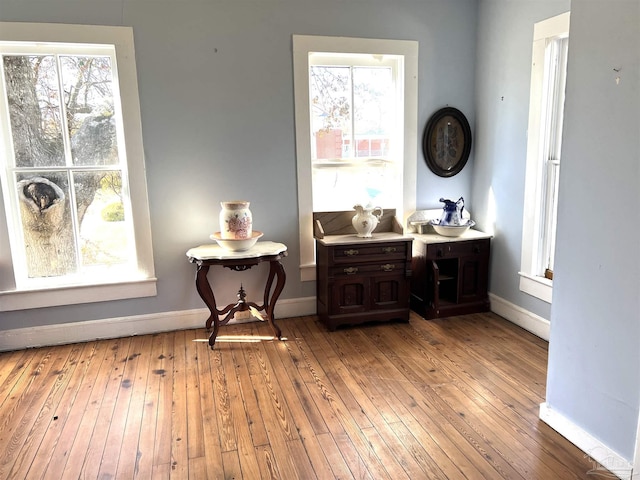 interior space with a healthy amount of sunlight and light hardwood / wood-style floors