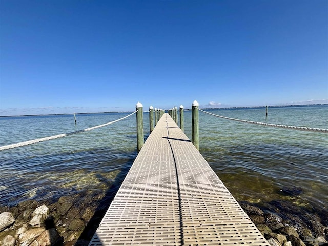 dock area with a water view