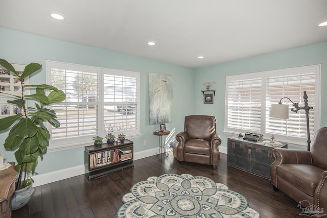 sitting room featuring dark hardwood / wood-style flooring