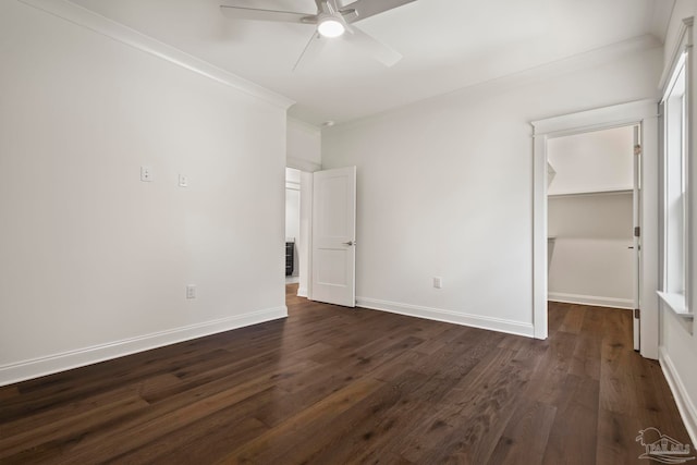 unfurnished bedroom featuring a closet, a walk in closet, crown molding, dark hardwood / wood-style flooring, and ceiling fan