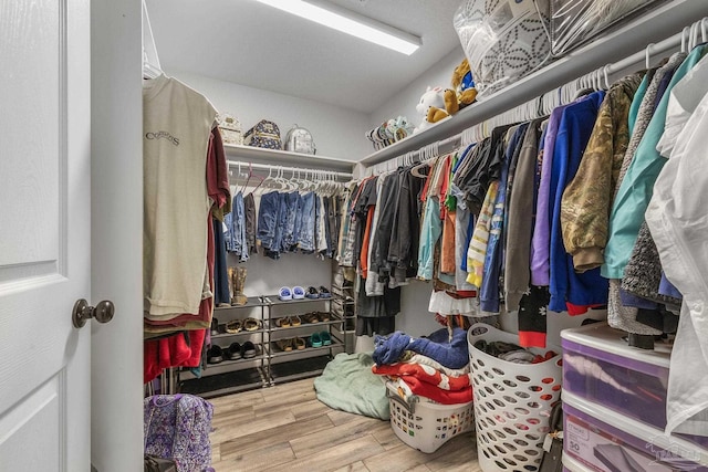 walk in closet featuring wood finished floors
