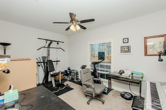 exercise area featuring ceiling fan and carpet