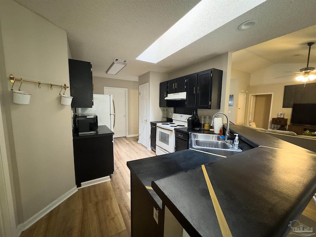 kitchen with white electric range oven, under cabinet range hood, dark cabinets, a sink, and light wood-style flooring