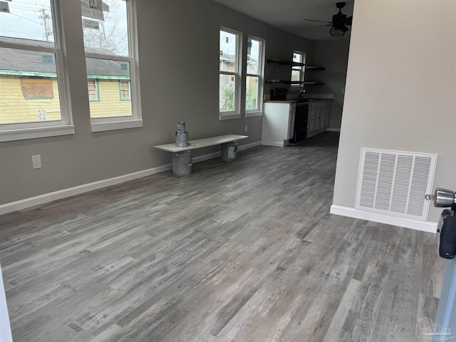 interior space featuring hardwood / wood-style flooring and ceiling fan