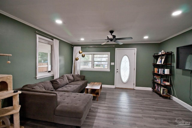 living room with dark wood-type flooring, ornamental molding, and ceiling fan