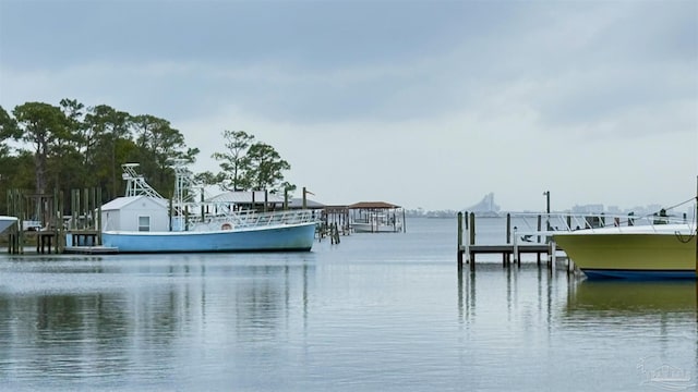 water view with a dock
