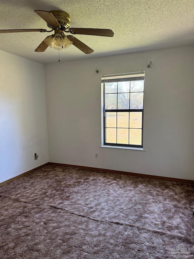 empty room featuring ceiling fan, carpet, and a textured ceiling