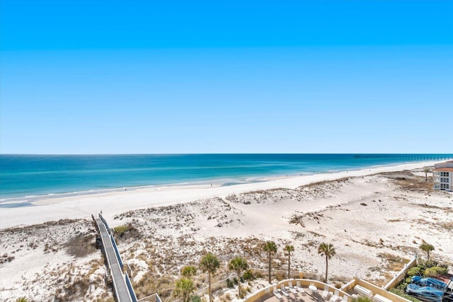 water view featuring a beach view