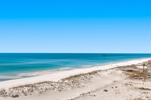 water view with a view of the beach