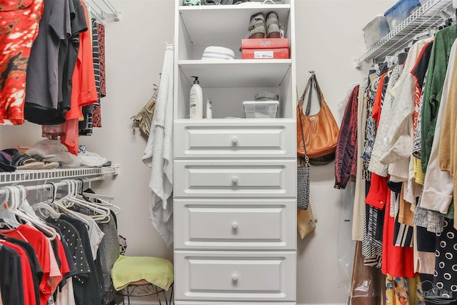 view of walk in closet