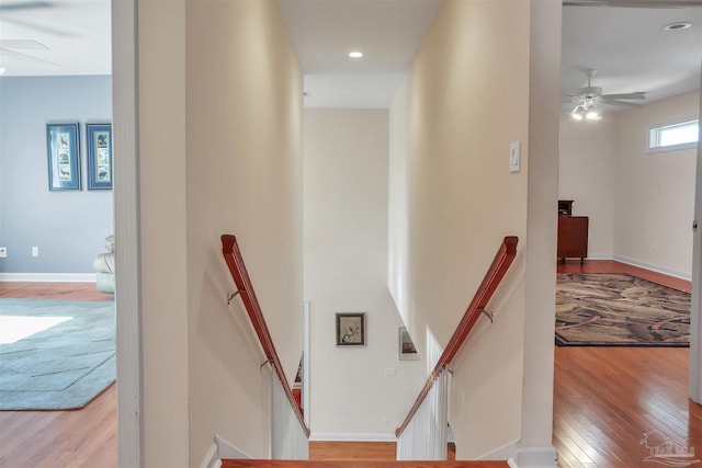 stairway featuring wood-type flooring and ceiling fan