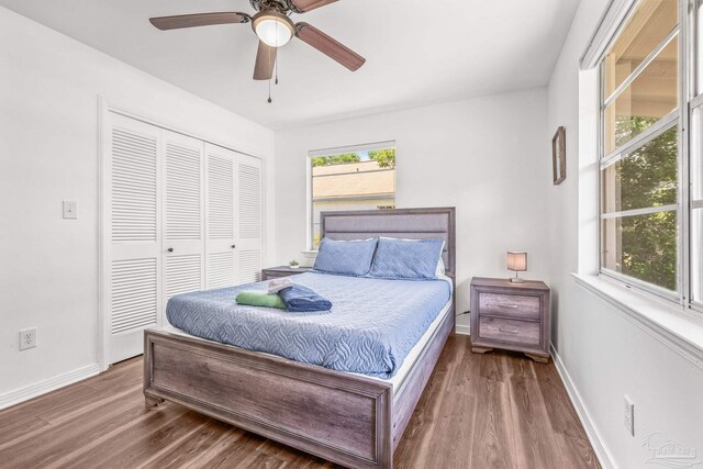 bedroom featuring a closet, ceiling fan, and hardwood / wood-style floors