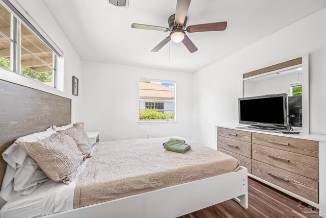 bedroom with multiple windows, ceiling fan, and dark wood-type flooring