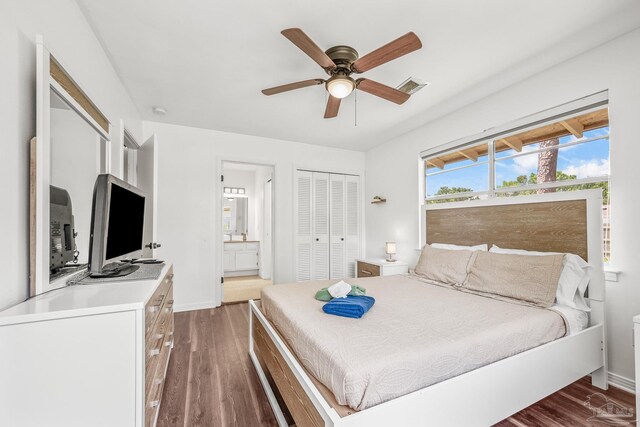 bedroom featuring ceiling fan, a closet, connected bathroom, and dark wood-type flooring