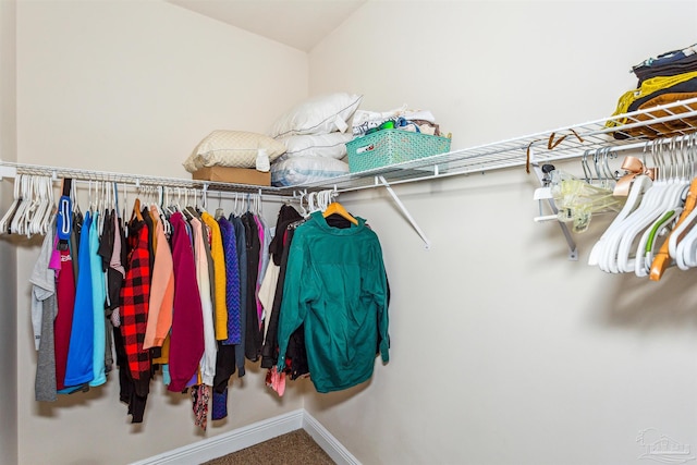 view of spacious closet