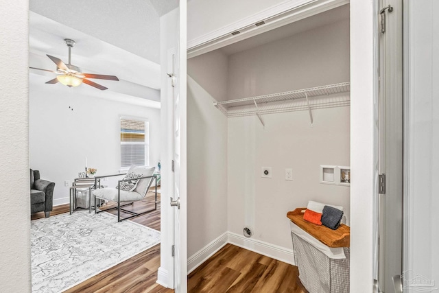 laundry room featuring hookup for a washing machine, ceiling fan, electric dryer hookup, and wood-type flooring