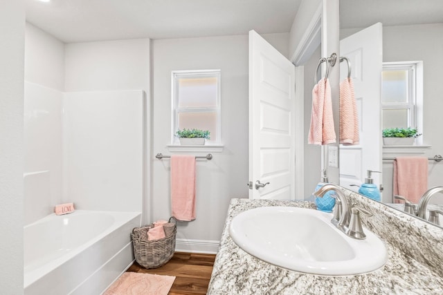 bathroom featuring wood-type flooring and vanity