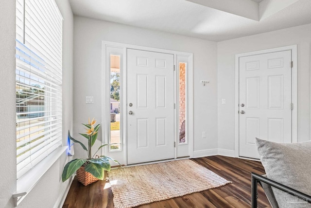 foyer with dark wood-type flooring