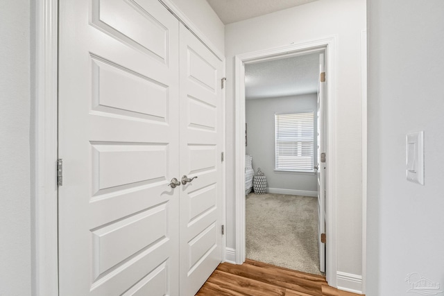 corridor featuring carpet floors