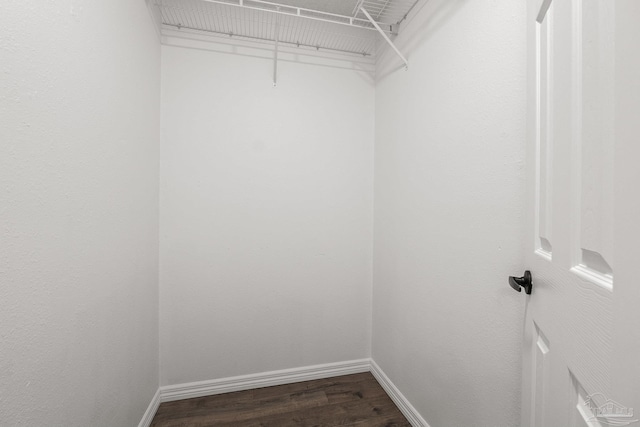 walk in closet with wood-type flooring