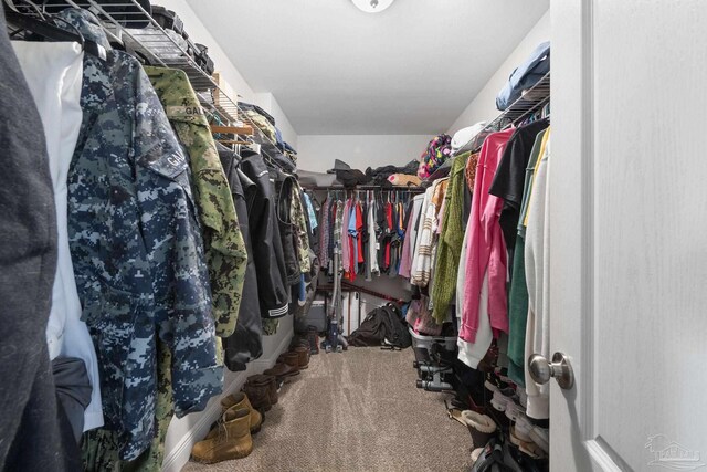 spacious closet with carpet floors