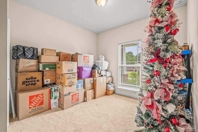 5409 Dalton Cir, Milton, FL 32570 - view of storage area