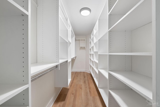 walk in closet featuring light hardwood / wood-style flooring