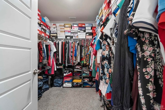 6173 Native Dancer Way, Pensacola, FL 32526 - spacious closet with carpet floors