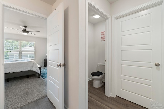 6173 Native Dancer Way, Pensacola, FL 32526 - corridor featuring dark wood-style flooring