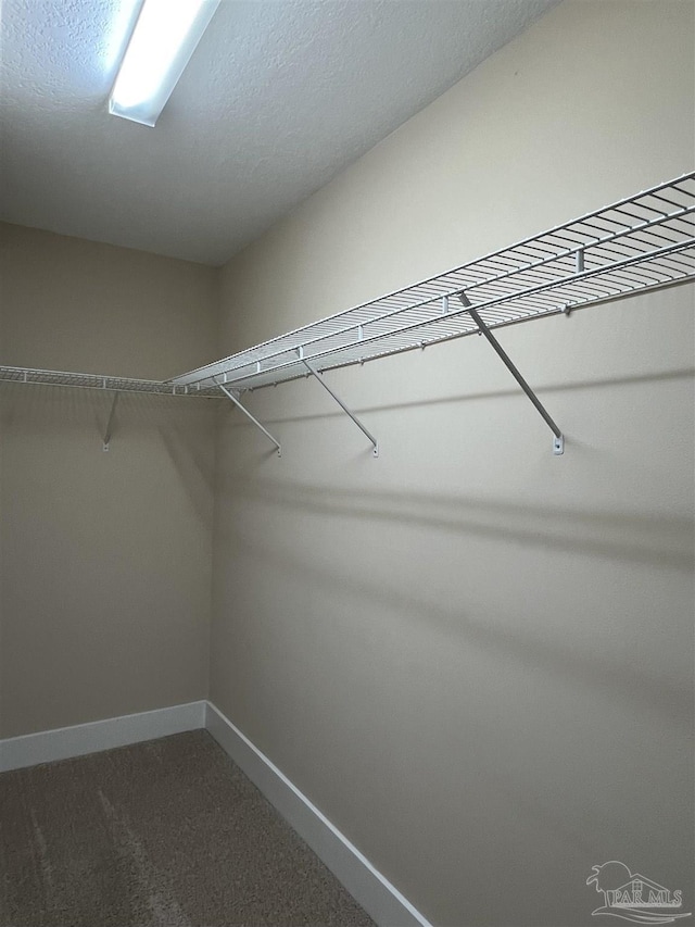 1792 Galvez Dr, Gulf Breeze, FL 32563 - spacious closet with dark colored carpet