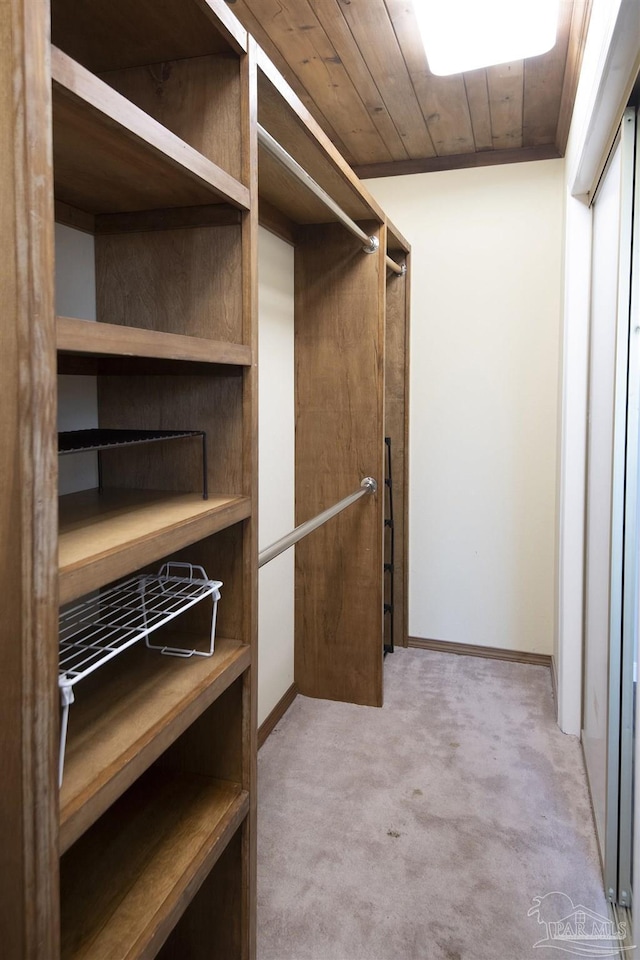 walk in closet featuring carpet flooring