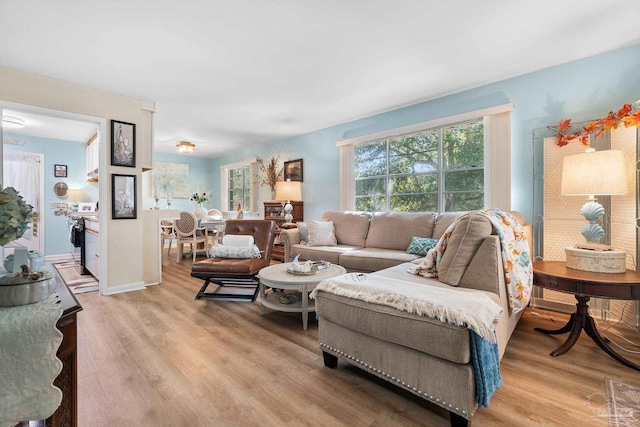 living room featuring light hardwood / wood-style flooring