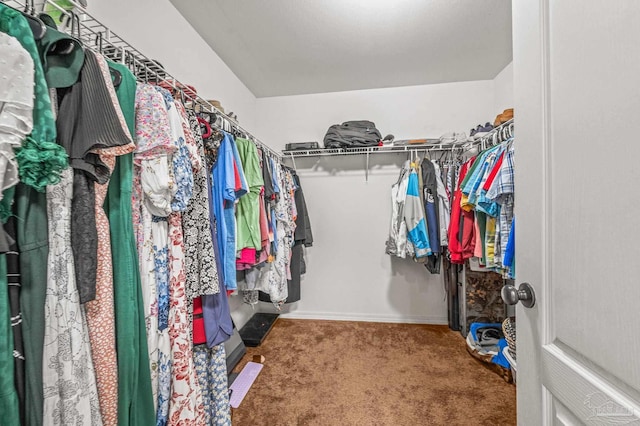 spacious closet featuring carpet floors