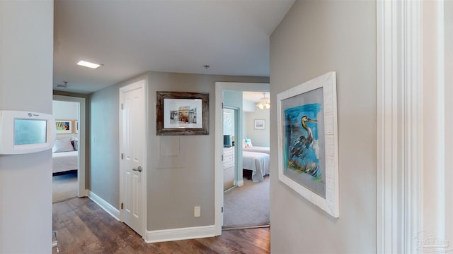 hall featuring dark wood-type flooring